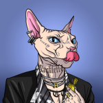 Handsome Cat Company