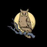 MasterOwl Youtube