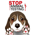 Stop using animals for testing