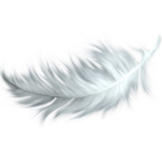 saintF1