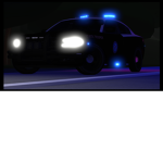 Florida Rolelplay Community FHP Group