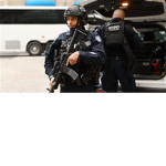 Brony And Furry Cops