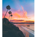 •Palm tree Beach•