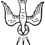 SIN OF CREATION