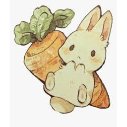 rabit runner