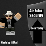 Air Echo Security