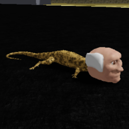 Lizard Life (Odd Noggin'!)