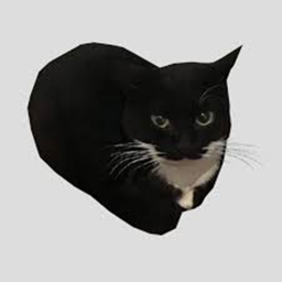 Maxwell obby
