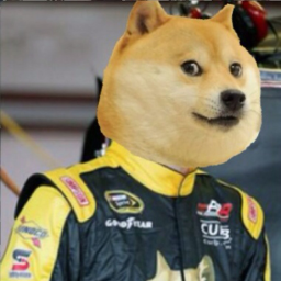 Doge Racing