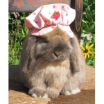 BUNN1E$