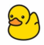 Ducky games fans