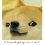 DogeeeeeSquad