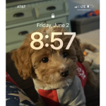 pupper love
