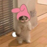 xuappo