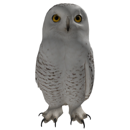 Snowy Owl Roblox item