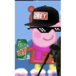 MasonMayDogg