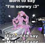 Meme lord bois