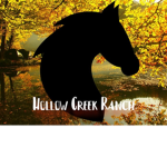 Hollow Creek Ranch