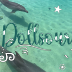 dфllsour’+