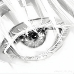 Vrxxyz