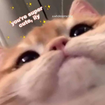 Isabel_vil