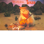 The Texan Cats