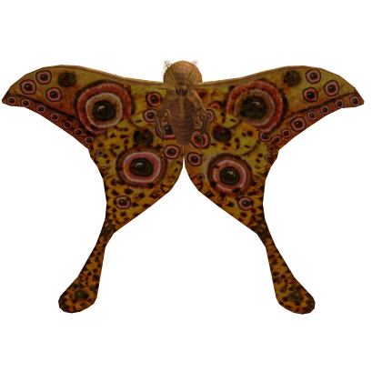 Moth Shoulder Roblox item