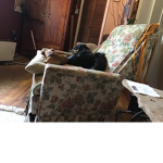 Pokemarcus10 friends only