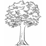 the tree miners