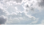 Sky’s merch!
