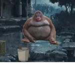 jungle bruddas
