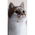Cats__ are _the_ best