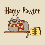 Pusheen..Bean