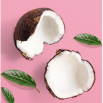 Club-o-Coconut