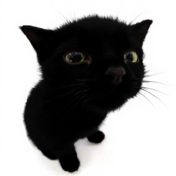 🐈