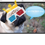 The Dog Group that Wrecks everyone