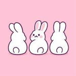 BUNNIES ARE AWSOME