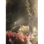 aflora Group Thumbnail