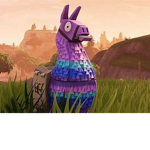 FRED the king of llamas