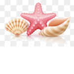 Pink Shell Hotel!!