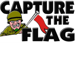 Capture the flag ;-;