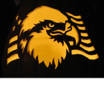 Team Eagle official