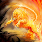 Fire Lions