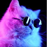 RedCatGroup_Slayyyy