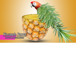 Pineapples castle hangout