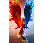 Phoenixbell11 fan group
