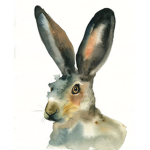 JackRabbitGaming
