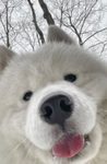 #snowyy