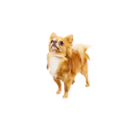MIA JOIN by: Ella