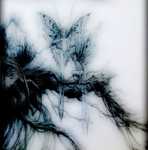 ୨୧⋆Halo Haze⋆୨୧